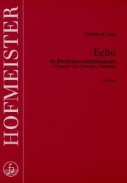 Echo